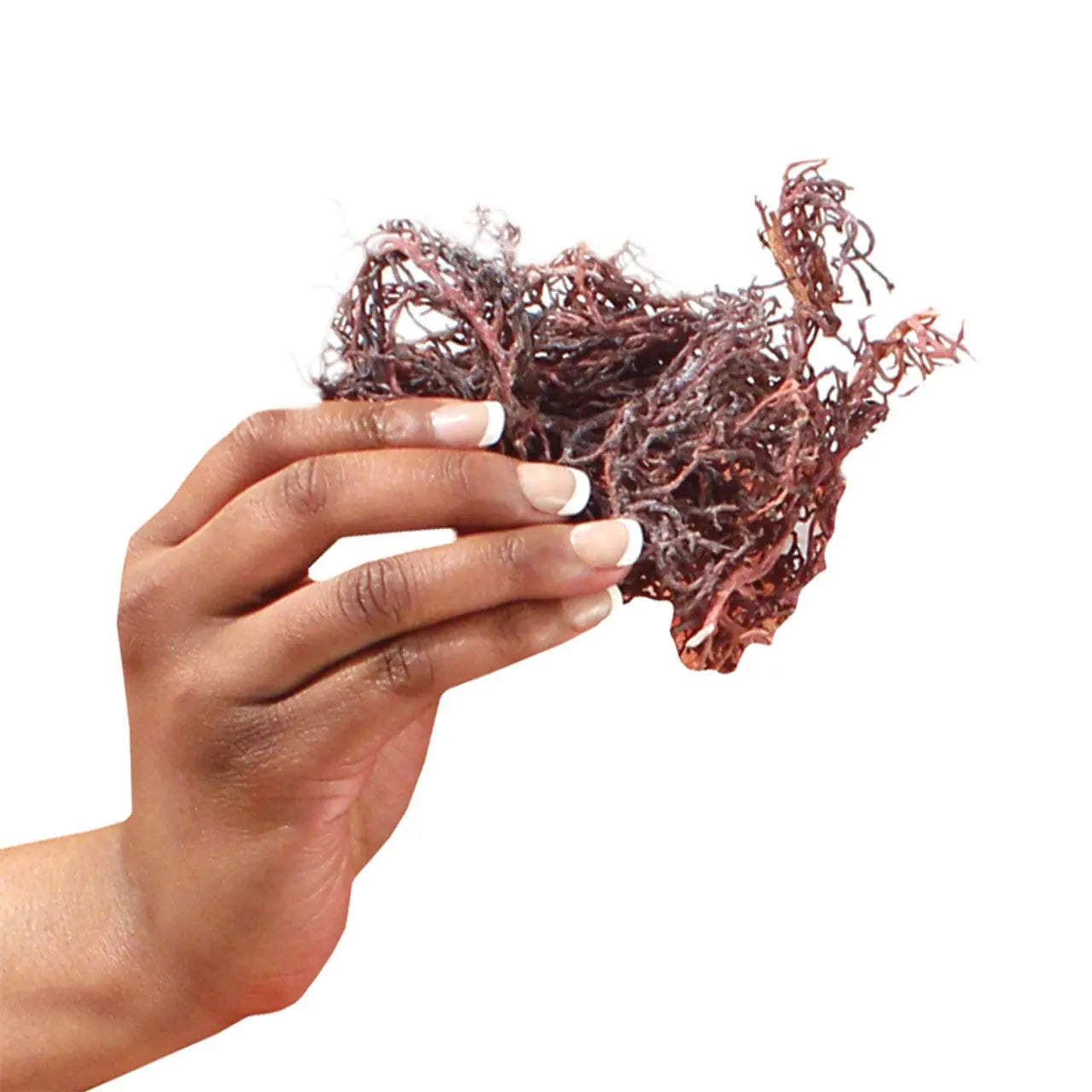 Purple Irish Sea Moss - 92 essential minerals and nutrients, such as iodine, zinc, calcium My Store