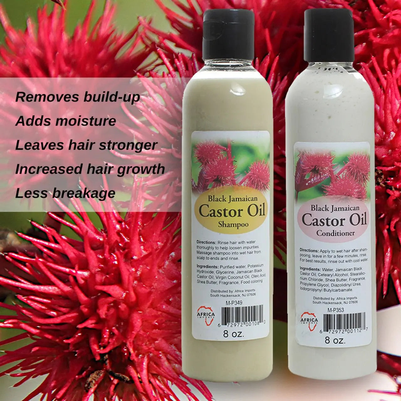 Black Jamaican Castor Shampoo & Conditioner Set - Melanatedpeopleskincare.com